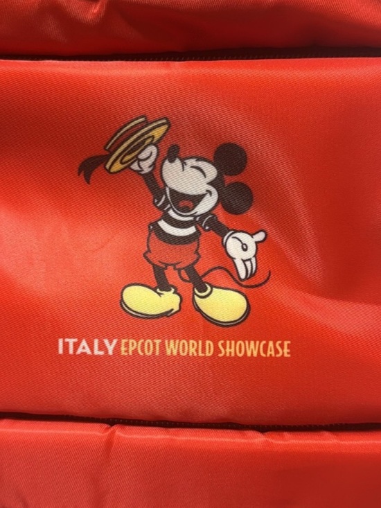 ?? Disney Parks x Lug Italy Backpack ??